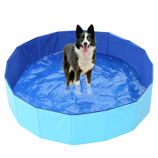 Foldable Dog Swimming Pool 1